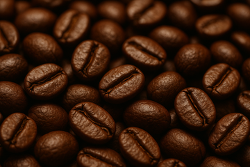 ¿Qué es el café de especialidad?