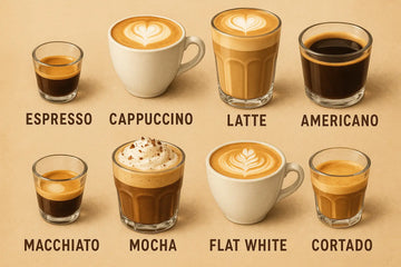 ¿Cuáles son los 4 tipos de café? Apukuna Coffee